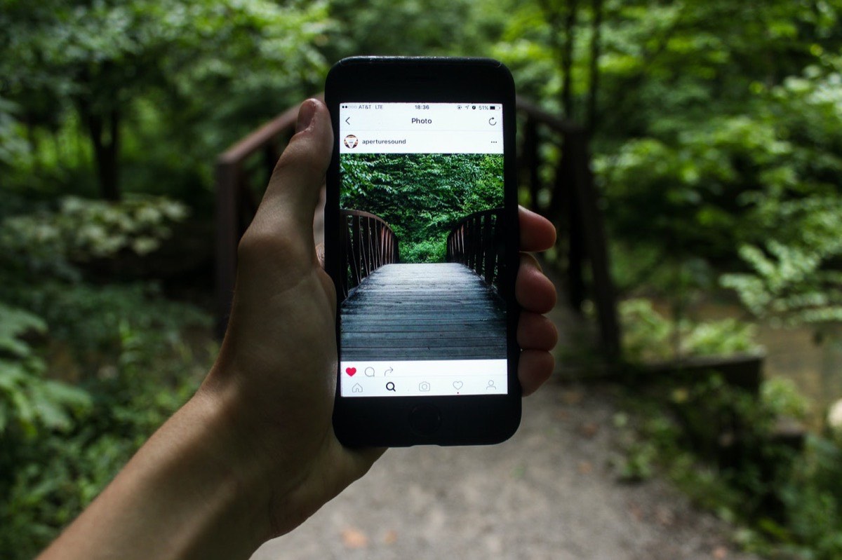 Main tenant un smartphone affichant une publication Instagram en pleine nature