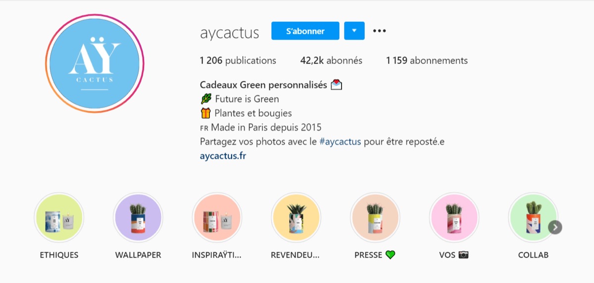 Compte Instagram AY Cactus et ses cactus vendus en boîtes de conserve personnalisées